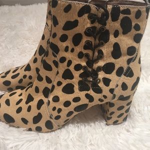 Matisse Leopard print  boots